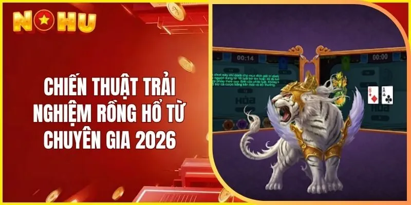 Chiến thuật trải nghiệm rồng hổ từ chuyên gia 2026