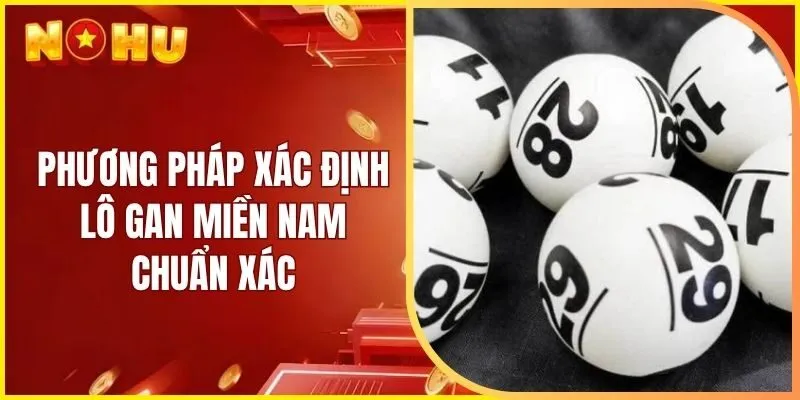 Phương pháp xác định lô gan miền Nam chuẩn xác
