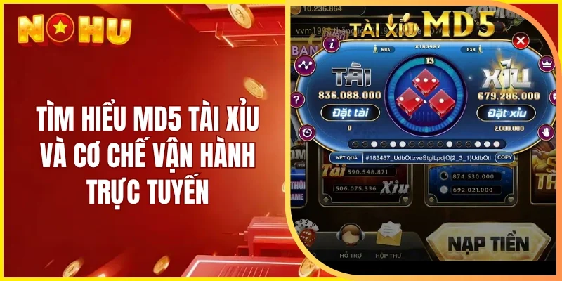Tìm hiểu MD5 tài xỉu và cơ chế vận hành trực tuyến