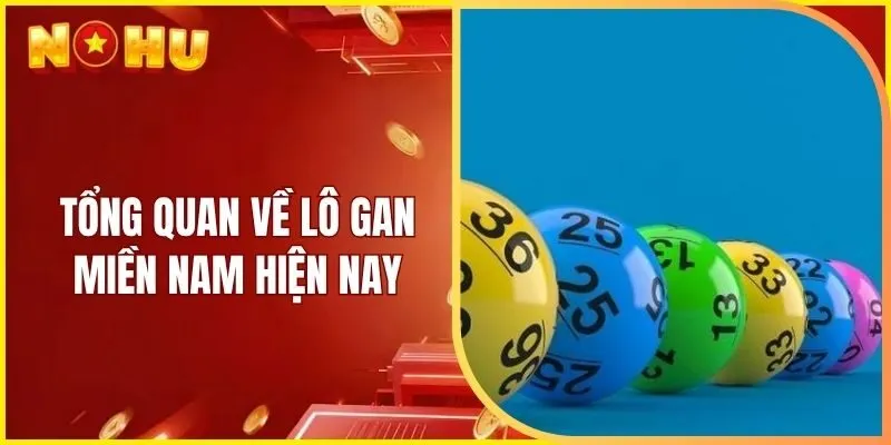 Tổng quan về lô gan miền Nam hiện nay